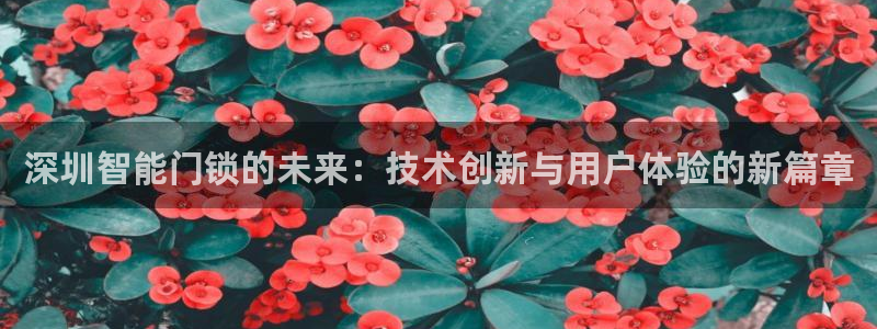 开丰娱乐右7O667：深圳智能门锁的未来：技术创新与用户体验