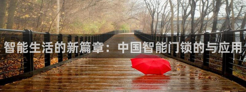 开丰娱乐注册登录：智能生活的新篇章：中国智能门锁的与应用