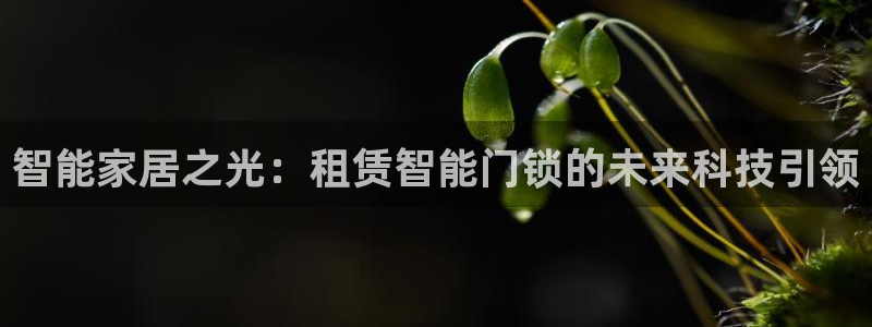 开丰娱乐平台官网网址：智能家居之光：租赁智能门锁的未来科技引