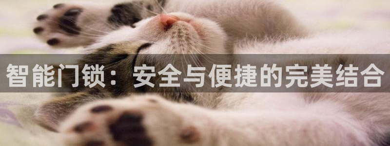 开丰娱乐科技：智能门锁：安全与便捷的完美结合
