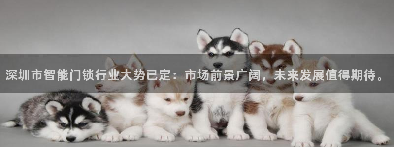 开丰娱乐与六七五一38：深圳市智能门锁行业大势已定：市场前景