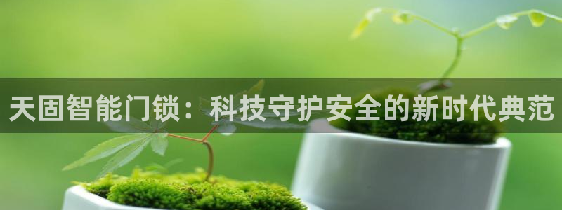 开丰娱乐 赢咖一：天固智能门锁：科技守护安全的新时代典范