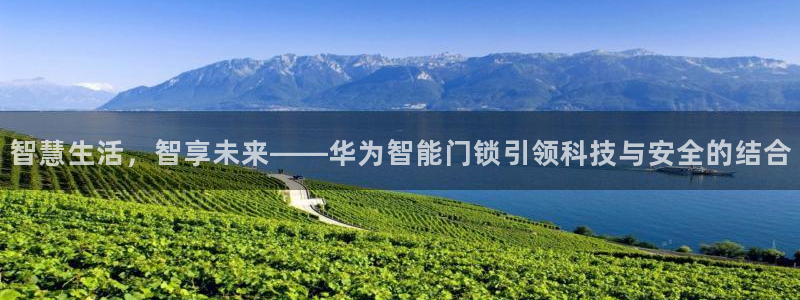 开丰娱乐登入地址在哪里：智慧生活，智享未来——华为智能门锁引