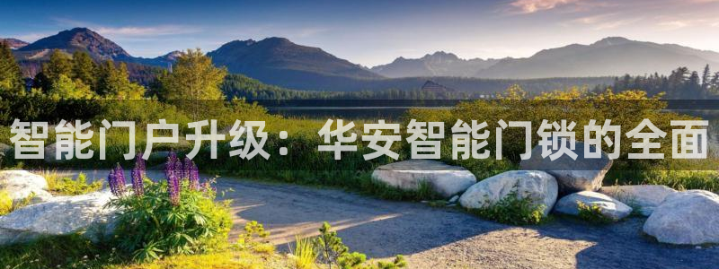 开丰娱乐平台登录网址：智能门户升级：华安智能门锁的全面
