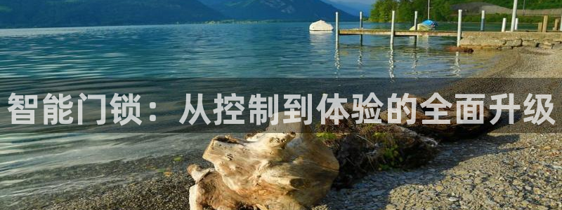 开丰娱乐姜333OO：智能门锁：从控制到体验的全面升级