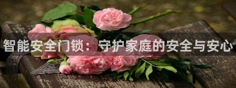 开丰娱乐与六七五一38：智能安全门锁：守护家庭的安全与安心