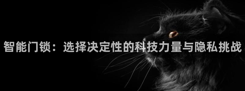 开丰娱乐寸六七五一38：智能门锁：选择决定性的科技力量与隐私