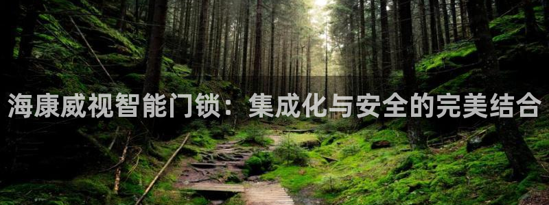 开丰娱乐趣 7O935：海康威视智能门锁：集成化与安全的完美