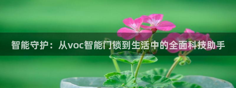开丰娱乐寸67五壹叁八：智能守护：从voc智能门锁到生活中的