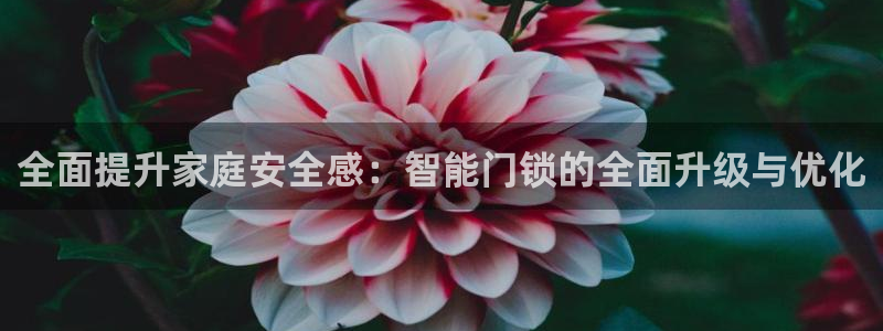 开丰娱乐：全面提升家庭安全感：智能门锁的全面升级与优化