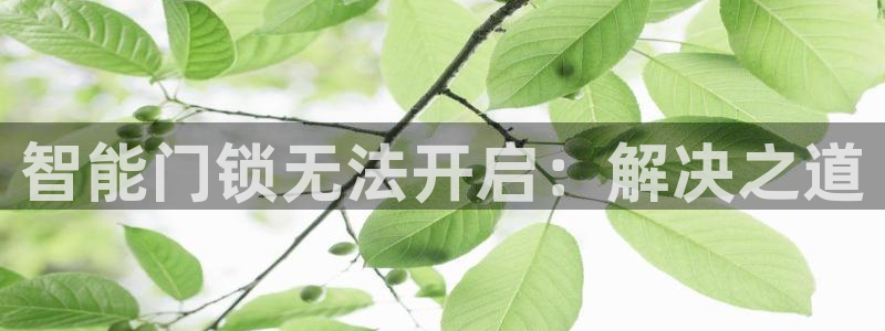 开丰娱乐天富娱乐：智能门锁无法开启：解决之道