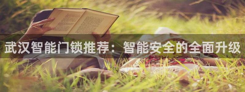 开丰娱乐联系q徽22212：武汉智能门锁推荐：智能安全的全面
