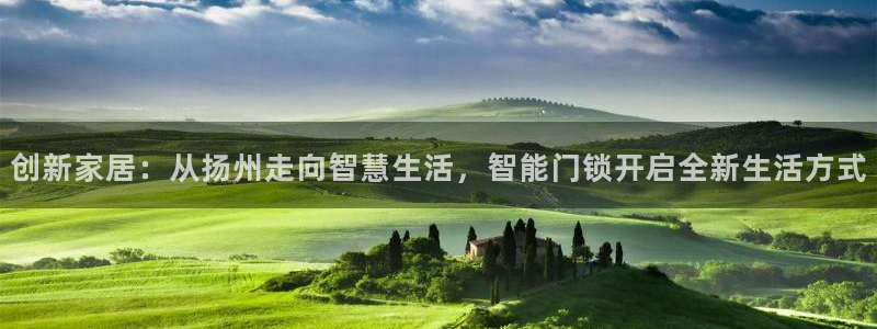 开丰娱乐平台登录：创新家居：从扬州走向智慧生活，智能门锁开启