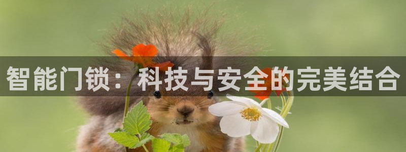 开丰娱乐：智能门锁：科技与安全的完美结合