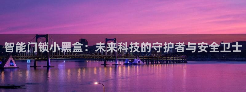 开丰娱乐天：智能门锁小黑盒：未来科技的守护者与安全卫士