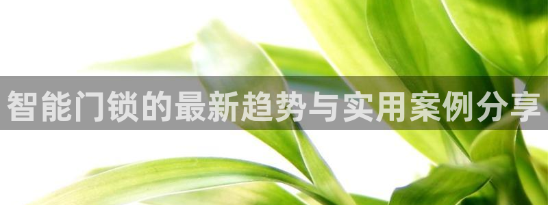 开丰娱乐登录网址：智能门锁的最新趋势与实用案例分享