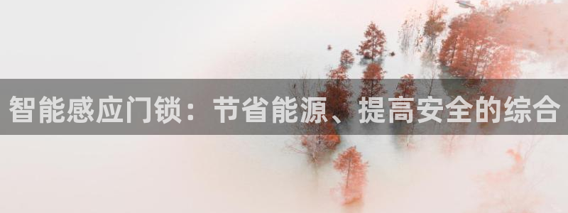 开丰娱乐主管：智能感应门锁：节省能源、提高安全的综合