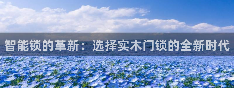 开丰娱乐注册资金多少：智能锁的革新：选择实木门锁的全新时代