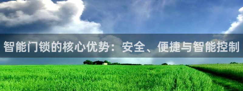 开丰娱乐更多平台：智能门锁的核心优势：安全、便捷与智能控制