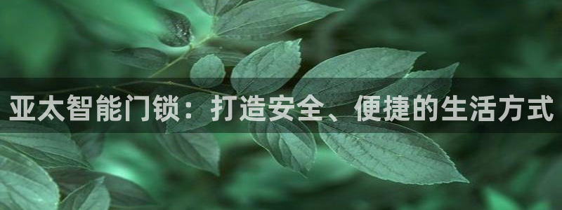 开丰娱乐不开了吗：亚太智能门锁：打造安全、便捷的生活方式
