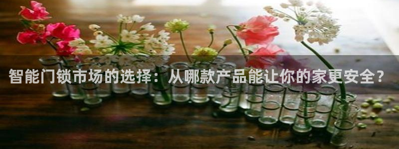 开丰娱乐登录平台下载：智能门锁市场的选择：从哪款产品能让你的