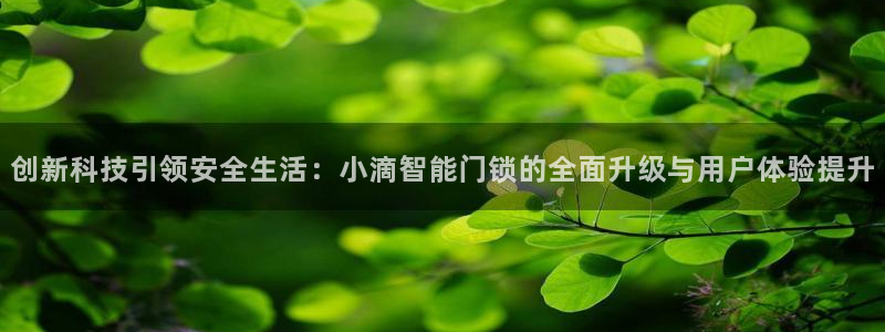 开丰娱乐登录平台下载：创新科技引领安全生活：小滴智能门锁的全