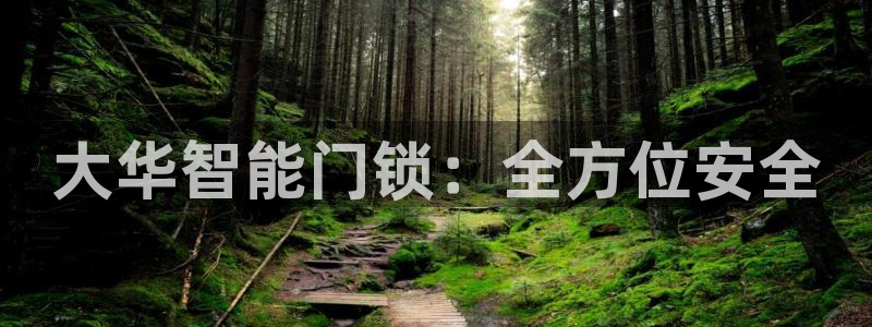 开丰娱乐地址查询：大华智能门锁：全方位安全