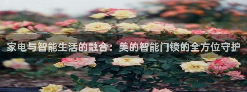 开丰娱乐测速：家电与智能生活的融合：美的智能门锁的全方位守护