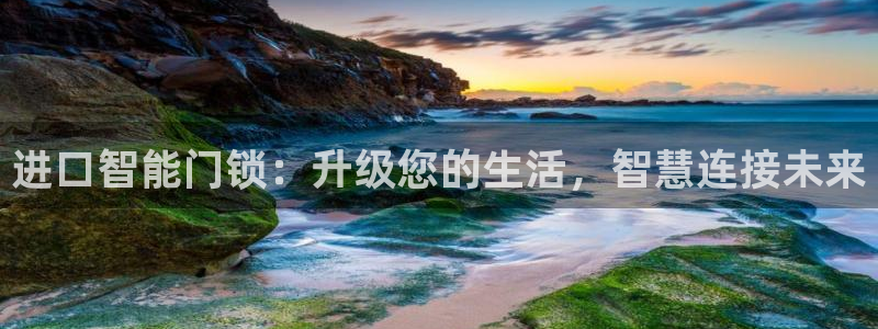 开丰娱乐注册登录不了：进口智能门锁：升级您的生活，智慧连接未