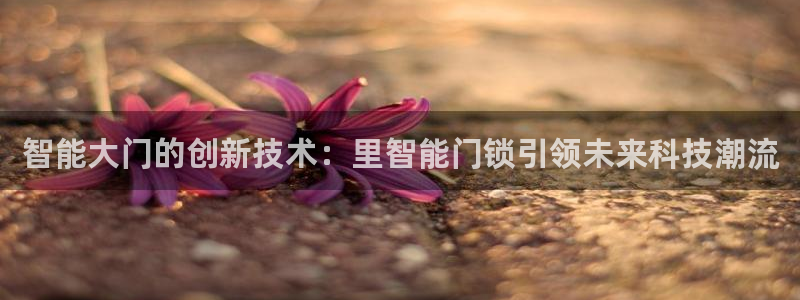 开丰娱乐注册系究耍333OO：智能大门的创新技术：里智能门锁