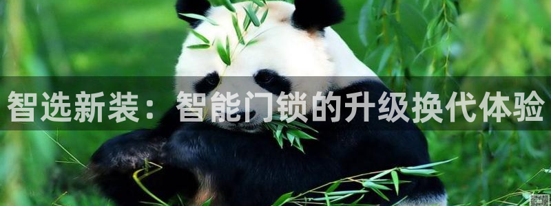开丰娱乐官网平台电话：智选新装：智能门锁的升级换代体验