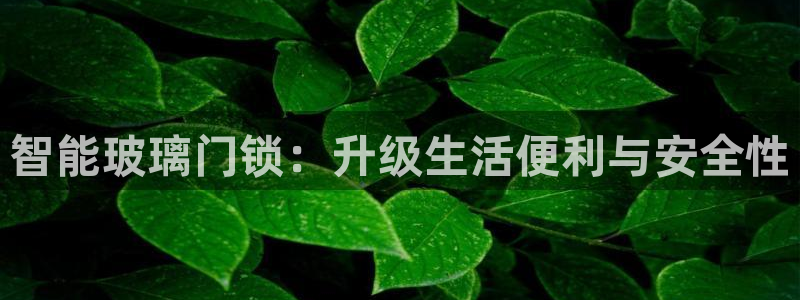 开丰娱乐巾67五壹叁八：智能玻璃门锁：升级生活便利与安全性