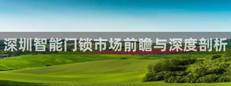 开丰娱乐平台地址：深圳智能门锁市场前瞻与深度剖析