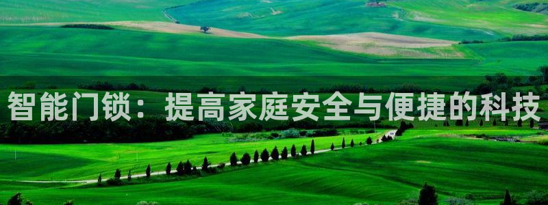开丰娱乐不开了吗：智能门锁：提高家庭安全与便捷的科技