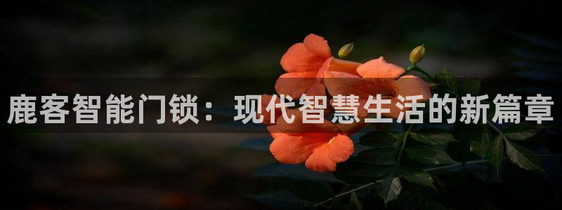 开丰娱乐登陆：鹿客智能门锁：现代智慧生活的新篇章