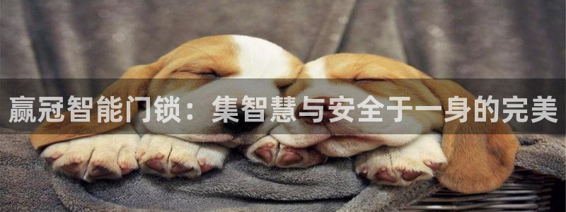 开丰娱乐平台地址电话：赢冠智能门锁：集智慧与安全于一身的完美