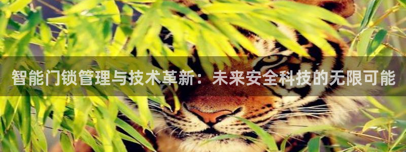 开丰娱乐予 7O935：智能门锁管理与技术革新：未来安全科技