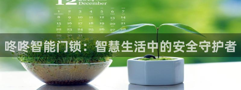 开丰娱乐平台官网登录：咚咚智能门锁：智慧生活中的安全守护者