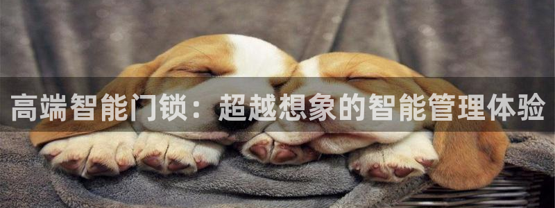 开丰娱乐平台：高端智能门锁：超越想象的智能管理体验