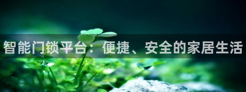 开丰娱乐主管：智能门锁平台：便捷、安全的家居生活