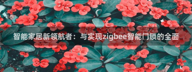 开丰娱乐天富娱乐：智能家居新领航者：与实现zigbee智能门