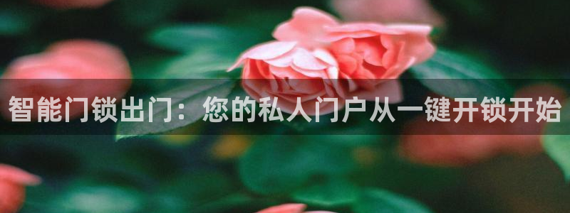 开丰娱乐官方app：智能门锁出门：您的私人门户从一键开锁开始