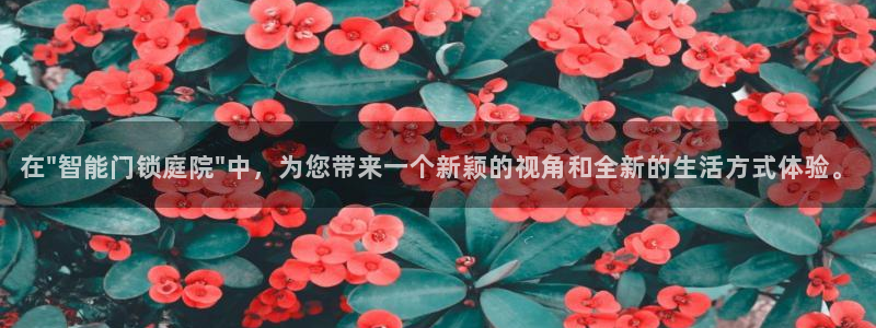 开丰娱乐网站官网首页：在\