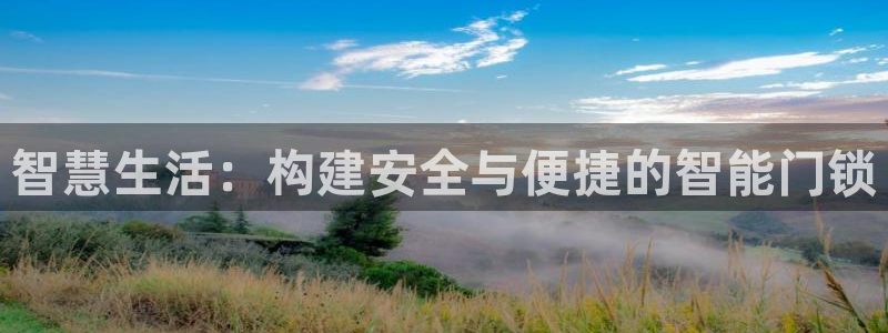 开丰娱乐官网平台登录：智慧生活：构建安全与便捷的智能门锁