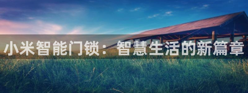 开丰娱乐下：小米智能门锁：智慧生活的新篇章
