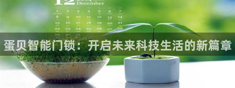 开丰娱乐山67五壹叁八：蛋贝智能门锁：开启未来科技生活的新篇
