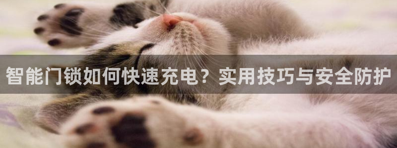 开丰娱乐右7O667：智能门锁如何快速充电？实用技巧与安全防
