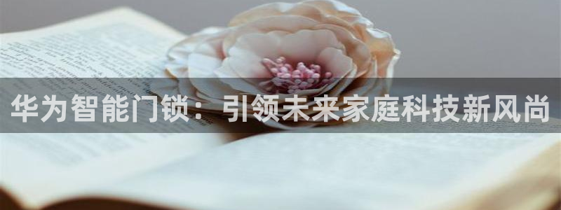 开丰娱乐：华为智能门锁：引领未来家庭科技新风尚