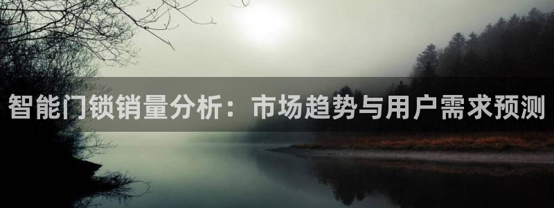 开丰娱乐下7O667：智能门锁销量分析：市场趋势与用户需求预