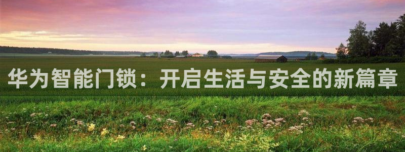 开丰娱乐万六七五一38：华为智能门锁：开启生活与安全的新篇章
